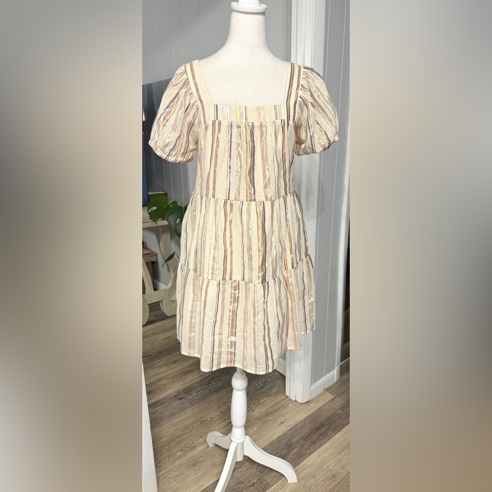 #13)  Greylin Multicolor shine-Striped Dress